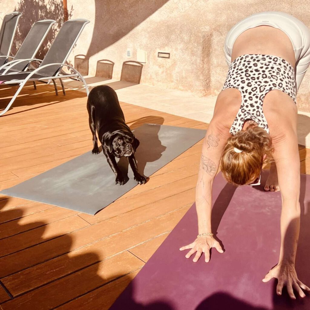 Yoga-Lehrerin und Hündin Summer führen synchron die Yoga-Übung herabschauender Hund (Adho Mukha Svanasana) auf einer Sonnenterrasse